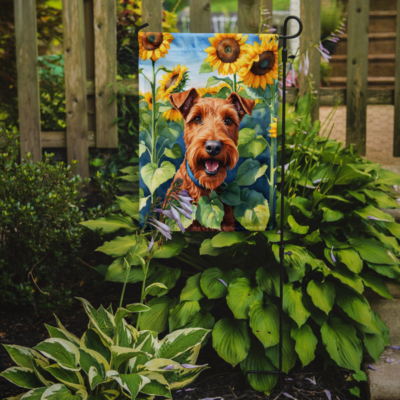Lévrier irlandais dans le drapeau du jardin de tournesols, Terrier irlandais