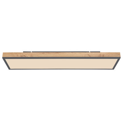 Tejal ceiling light