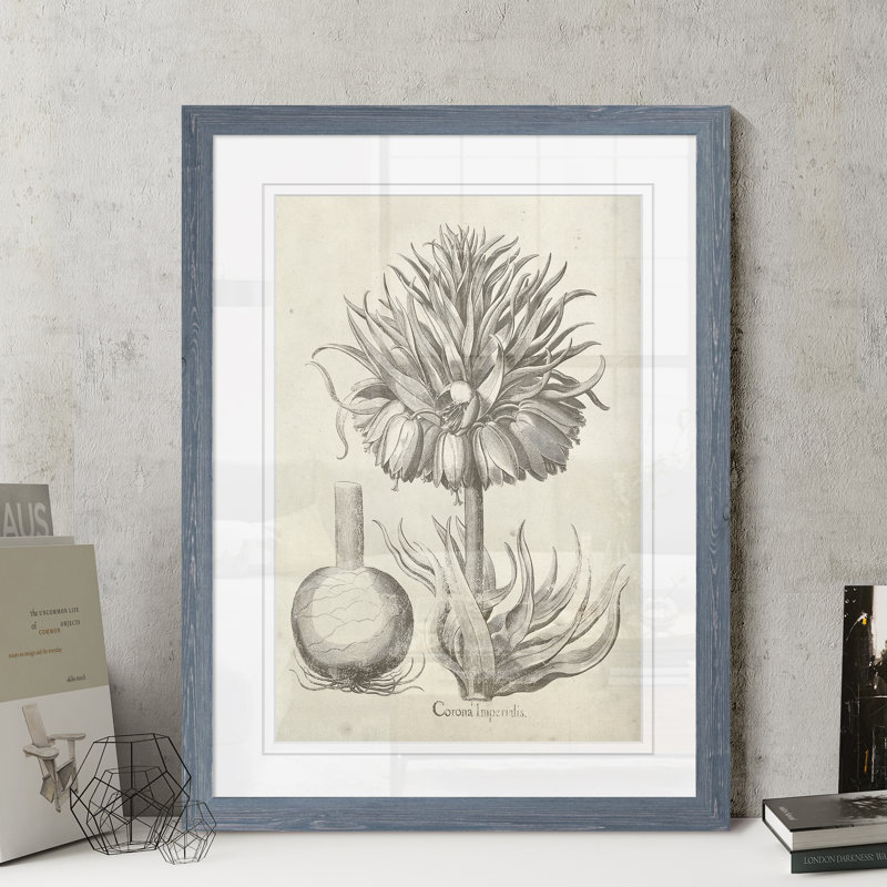 « fresco couronne impérial ii » par paul cezanne-« picture », reproduction d’art encadrée, Cadre en papier gris
