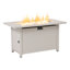 Foyer de table en aluminium 50 000 BTU