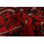 Tapis rouge Melis Vintage 5 pi 1 po x 6 pi 5 po