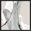 «Touch Of Gray IV» par Chris Paschke-823026988-823026991