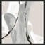 «Touch Of Gray IV» par Chris Paschke-823026988-823027417