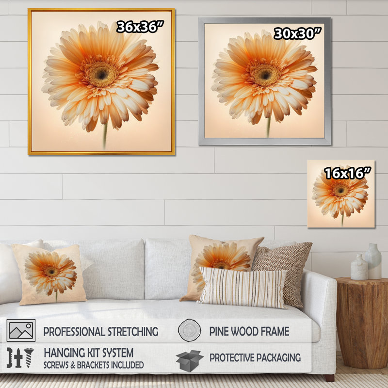 Orange Gerbera Flower V " Orange Gerbera Flower V ", Black Picture Framed Canvas, 24" W x 24" H