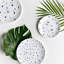 Set of two 8” Plate