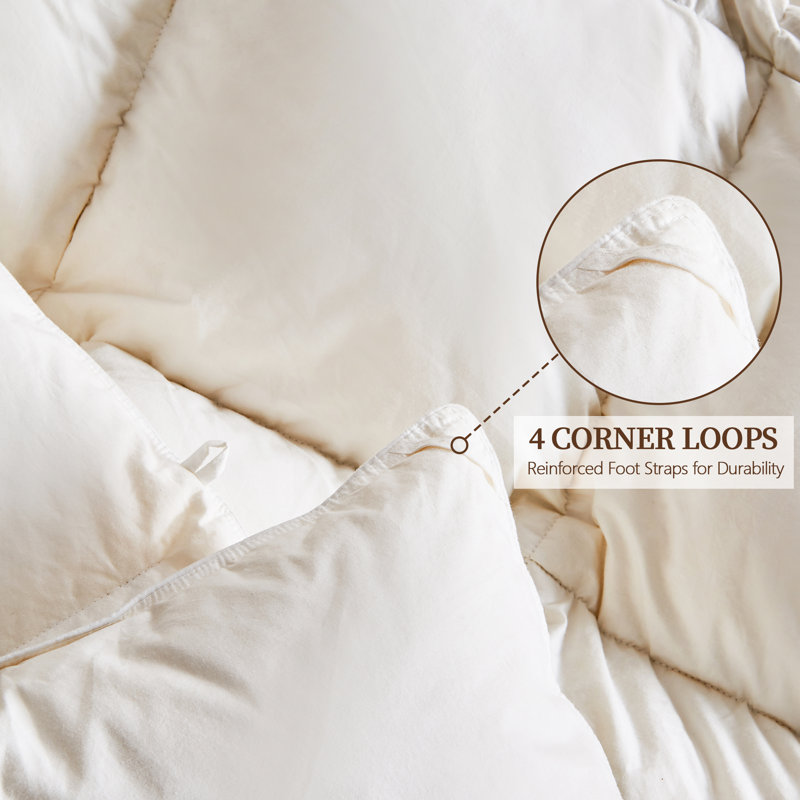 Édredon toutes saisons ultra-moelleux, housse de couette en duvet de plumes de style hôtel avec housse en mélange de coton, chaleur moyenne et hypoallergénique