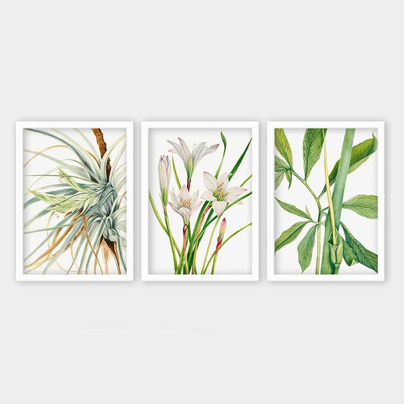 Superbe ensemble de peintures décoratives encadrées (3 pièces) de 21,7 po x 29,5 po chacune | Cadre 100% bois avec polystyrène de 0,8 pouce | Impression numérique UV | Parfait pour la décoration murale de salon, de bureau et de galerie