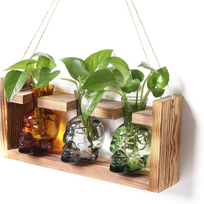 Plante, terrarium, stations de propagation, culture hydroponique, crâne d'Halloween, vase, crâne, décoration avec support en bois, cadeau pour le père