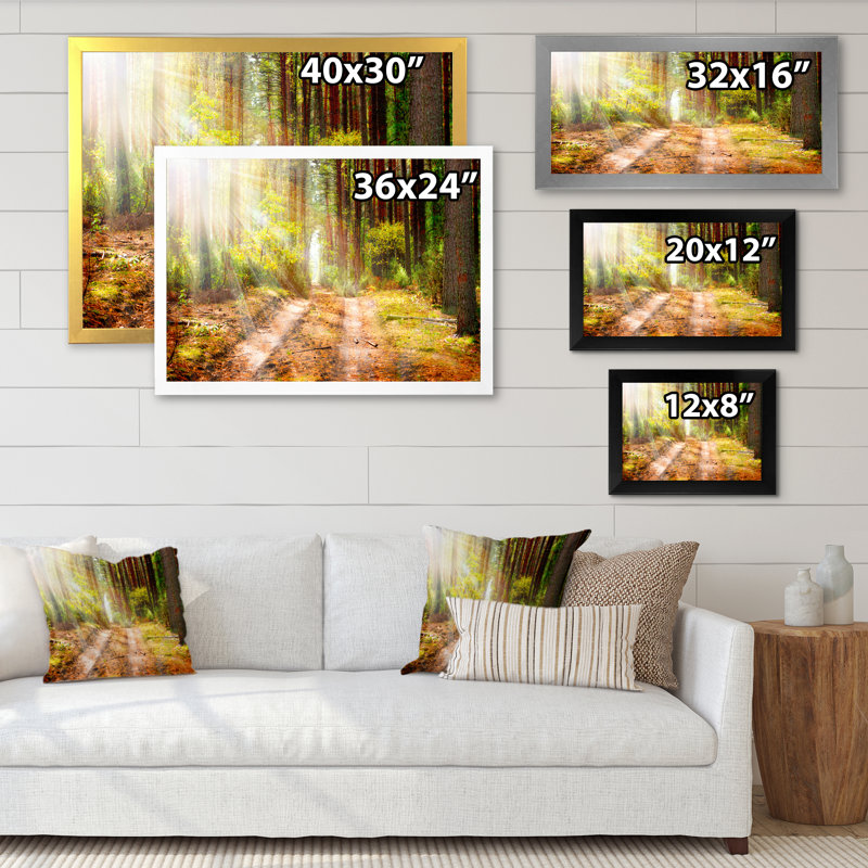Sun Rays In Misty Old Forest II - reproduction de photo sur toile, Toile argentée avec cadre photo