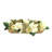 Fall Centerpiece with Hydrangeas and Magnolia Leaves