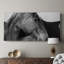 Flint Hills Wild Horse- Gallery Wrapped Canvas -Ready to Hang-88707082