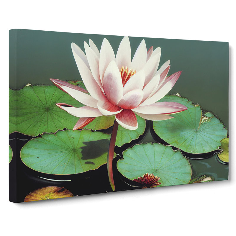 Serene Water Lily - Wrapped Canvas, 35cm H x 50cm W x 3cm D