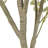 Merri Tree-Merri Tree-9'-636970538