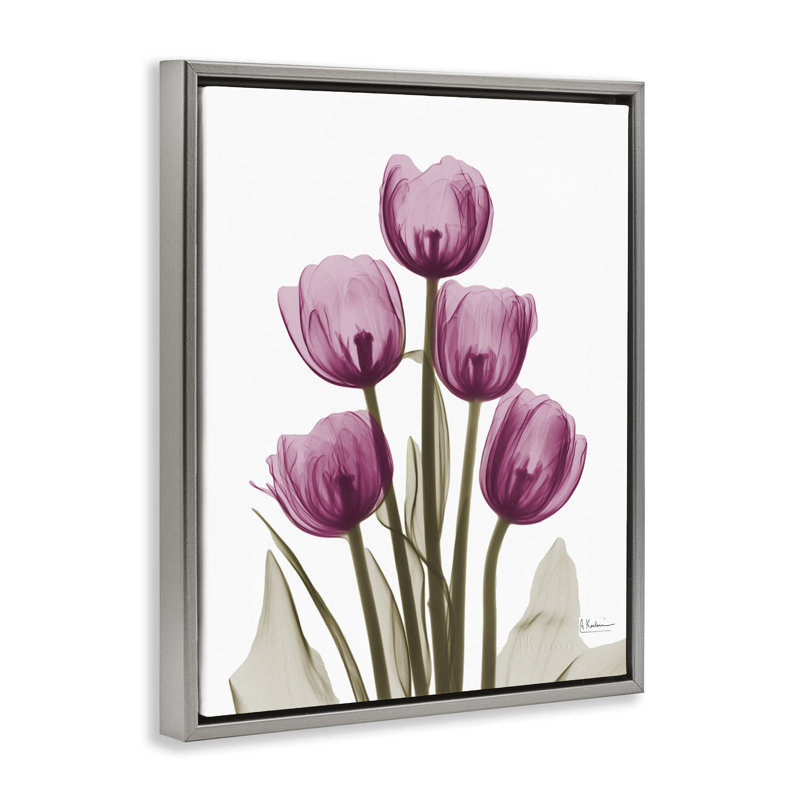 Tulipes roses à rayons X, H 17 po x l 21 po, Cadre flottant gris lustré