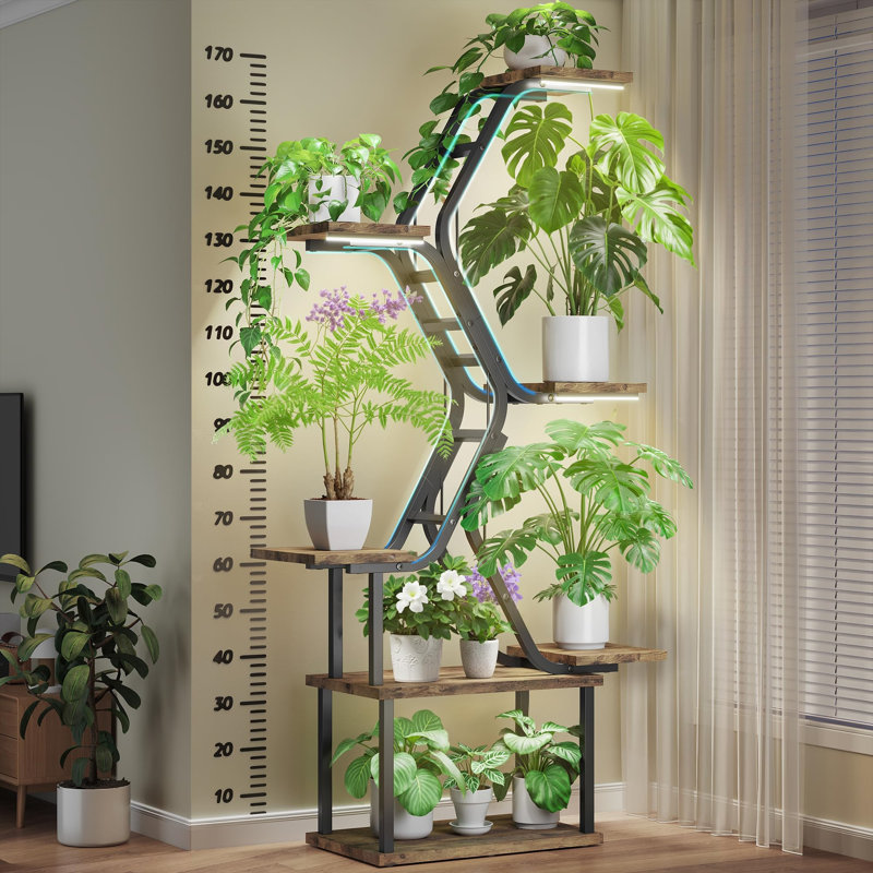 Plant Stand - Set of 8