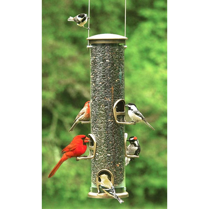 Brass Hanging Tube Bird Feeder