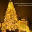 Arbre artificiel de 53,25 po, H 88,5 po, 1518 branches, 500 blanc chaud, ouverture automatique, blanc, feu, installation sans effort des lumières à DEL de Noël, simple