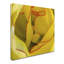 «Inside a Beautiful Tulip» par Kurt Shaffer - reproduction de photo sur toile-18233861