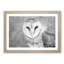 Barn Owl - Single Picture Frame Painting on MDF-56628396-56628395