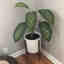 Photos des clients 1 de 1