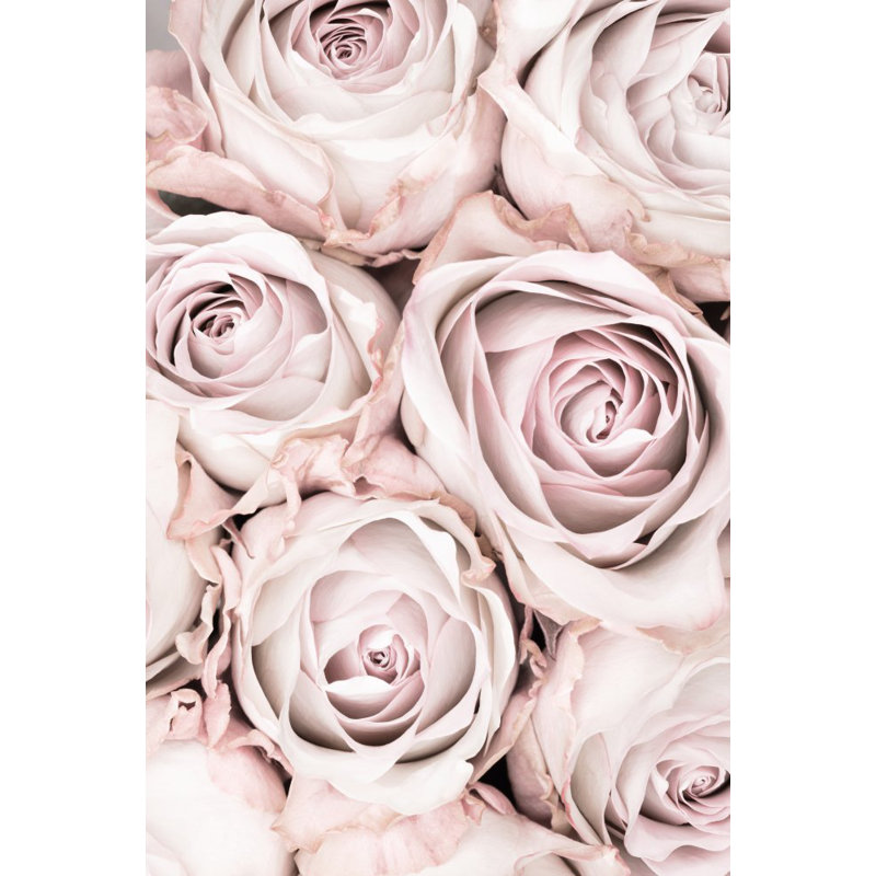 Wrapped Canvas Print, 50.8cm H x 76.2cm W