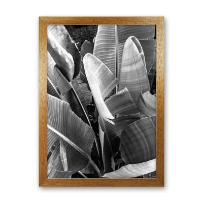 Palms Leafs 1 Piece Wall Art