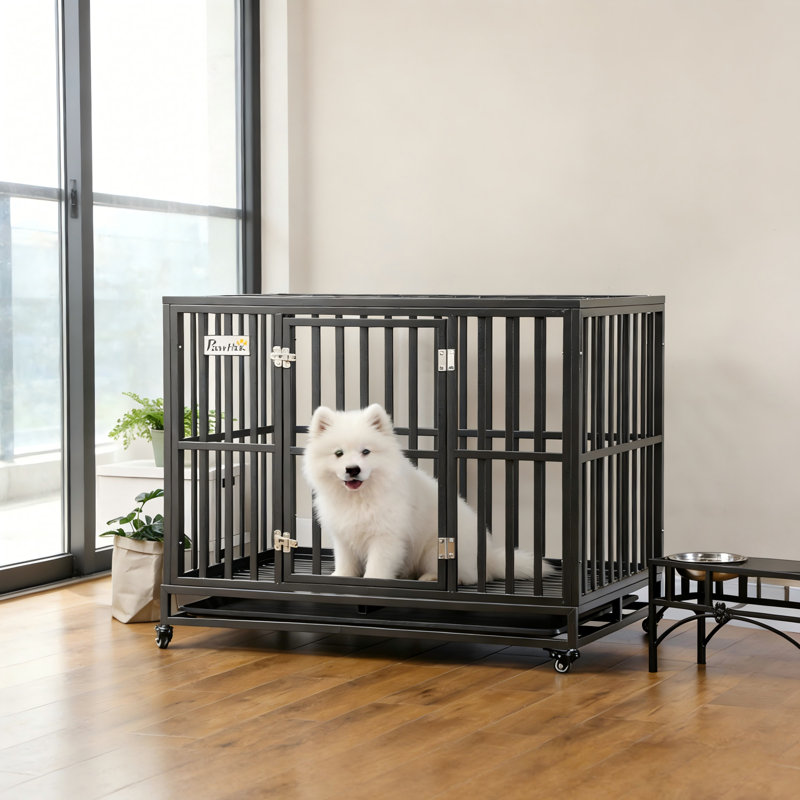 Cage pour chien robuste All-Access Elite avec plateau coulissant