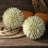Amoni Abstract Figurines & Sculptures-1176901325