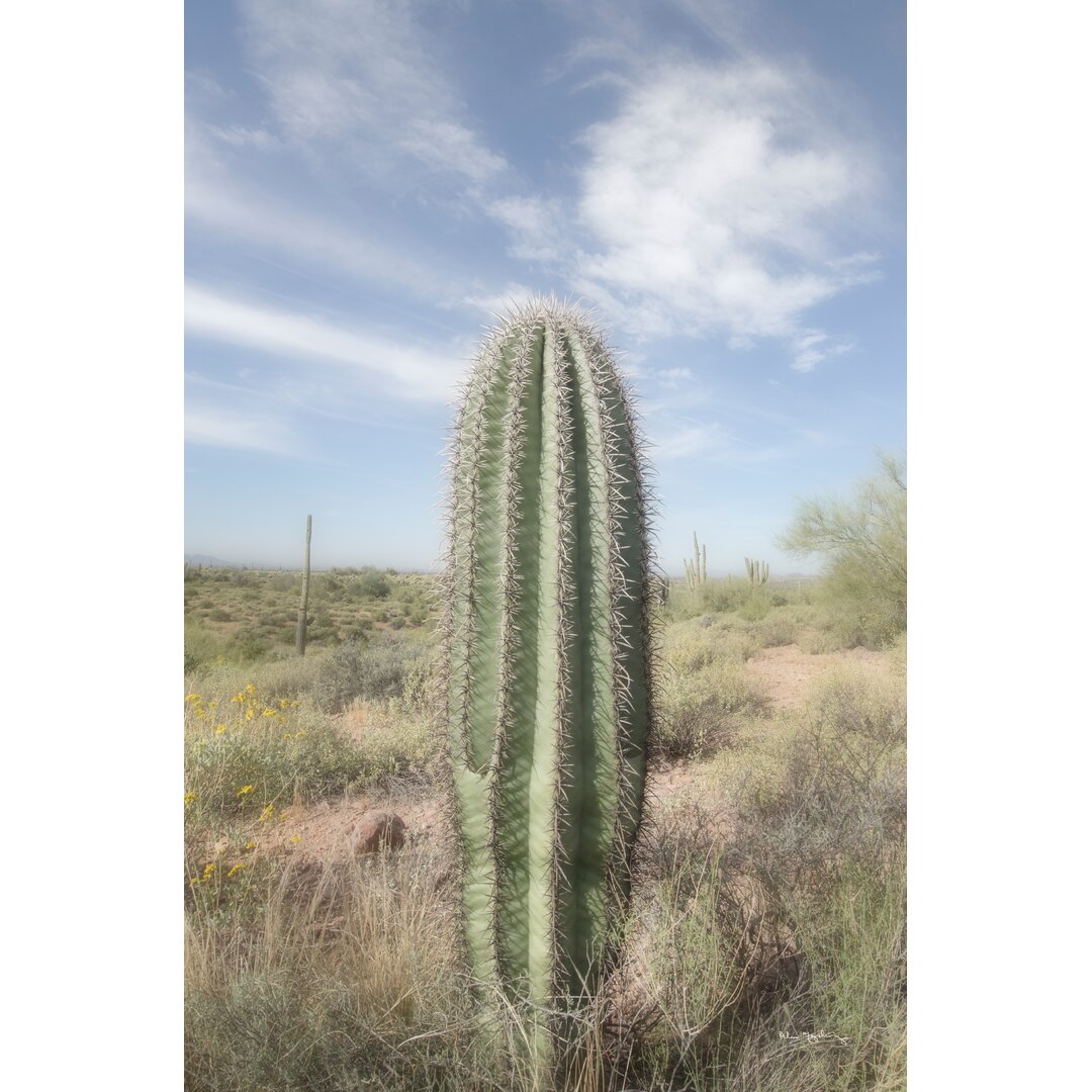 Leinwandbild Saguaro von Alan Majchrowicz