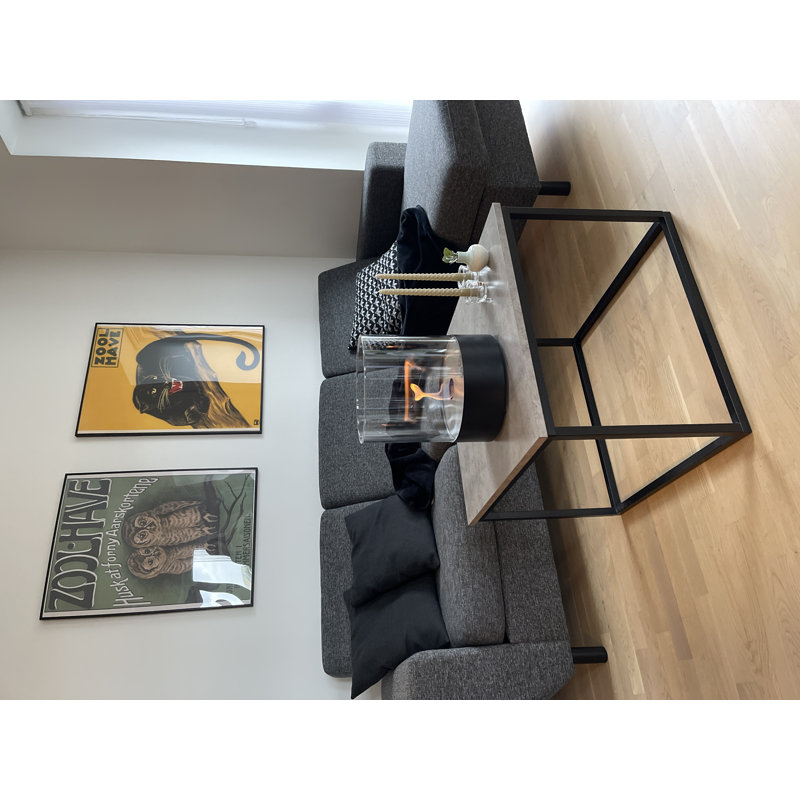 Scandi-Flames 63.5cm W Bio-Ethanol Fireplace with 3.93 BTU, Black