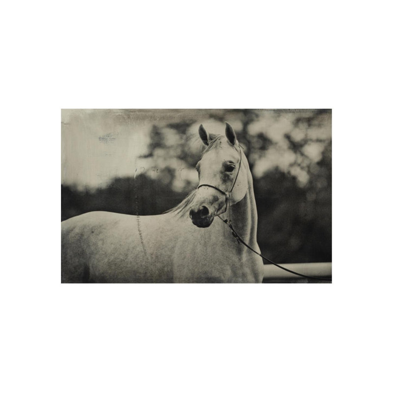 At The Race I Print by Chelsea Art Studio, Outdoor, 16" H x 25" W