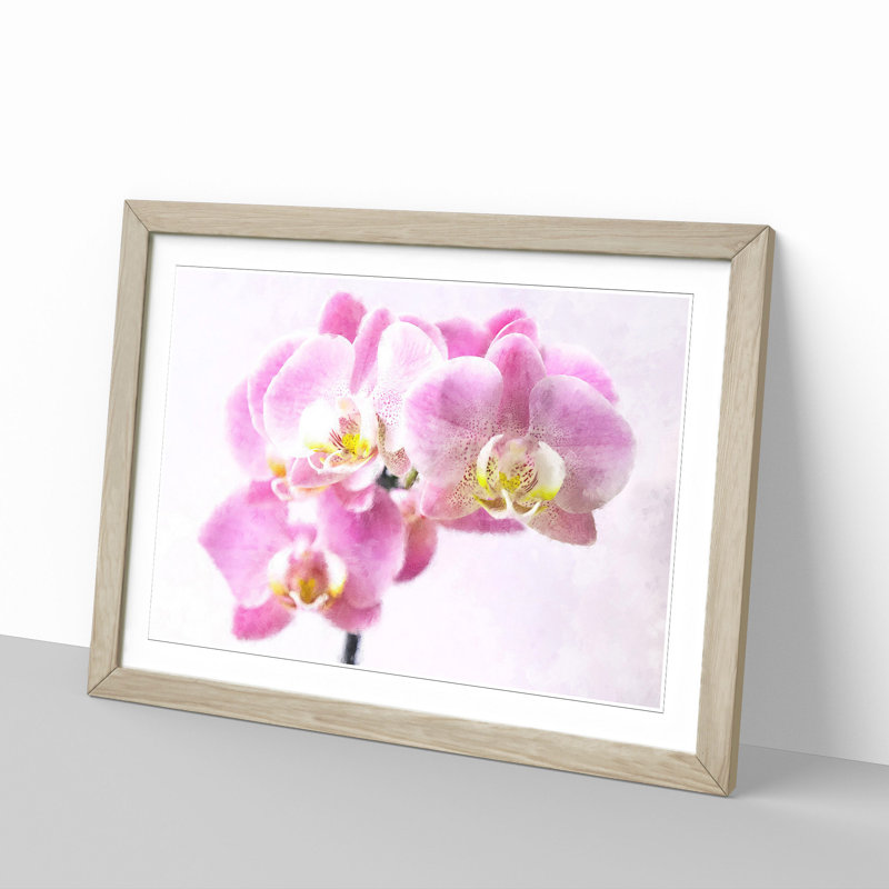 Pink Orchid Flower - Single Picture Frame Print on MDF, 33cm H x 45cm W x 2cm D, Oak