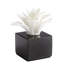 Calendine Decorative Flower Sculpture-2001312844