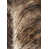 Hair Hide Brindle Light Exotic selected