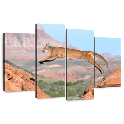 Brampt Mountain Lion