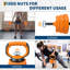 Metal Freestanding Sports Rack