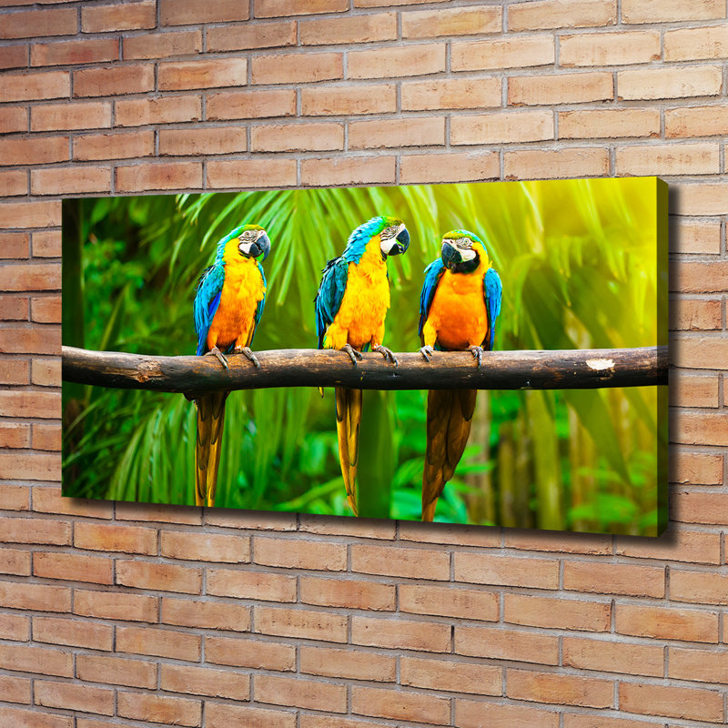 Parrots On The Branch - Wrapped Canvas Print