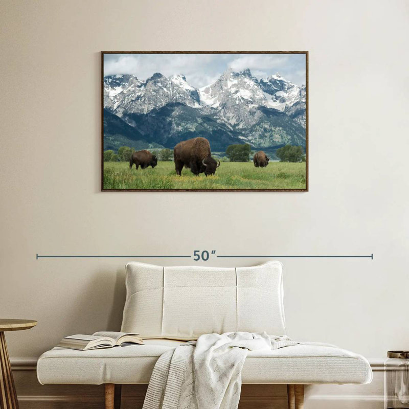 Bison Teton broutant, 37 po x 25 po, Cadre flottant noyer