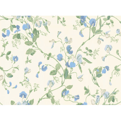 Anthology Sweet Pea Floral Wallpaper Roll