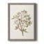 " Twig Study II "-263558138-263558133