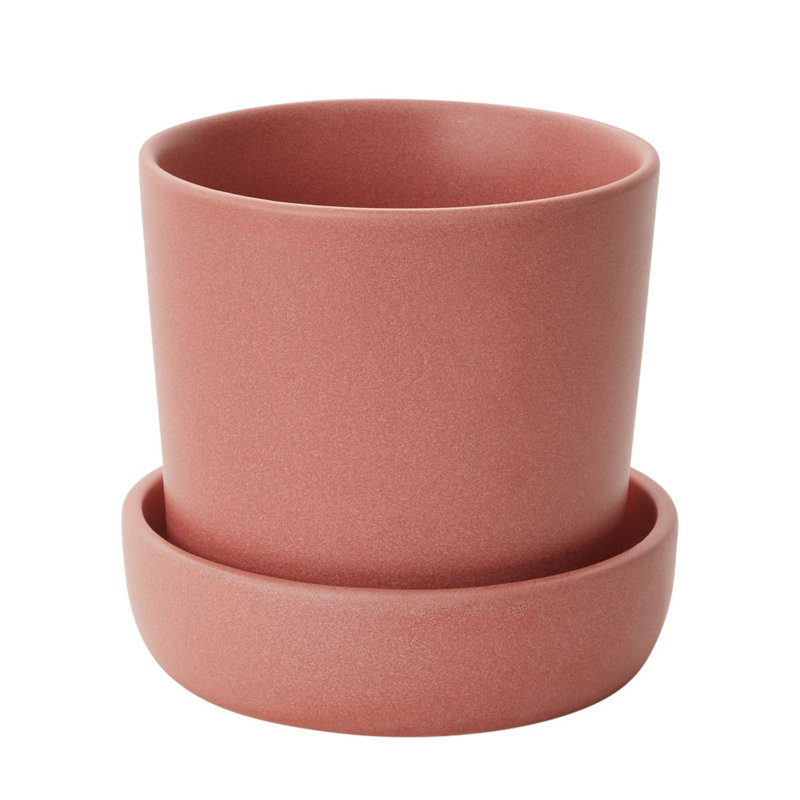 Pot à fleurs en céramique Zandra, H 5 po x l 5,25 po x P 5,25 po, Blanc cassé