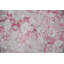 Tapis décoratif rose pâle tissé à plat à la main Kivanc-1911745567
