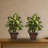 Dieffenbachia Silk Plant with Wood Vase