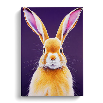 Young Hare - Wrapped Canvas