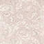 Pure Bachelors Button Wallpaper-71538678