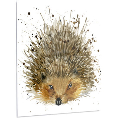 " Hedgehog Illustration Watercolor "