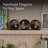 Dublin Decorative Orbs-107424528