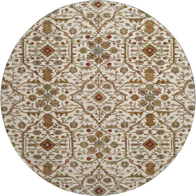 Premium Machine Washable Ducote AMF1130 Global Rug