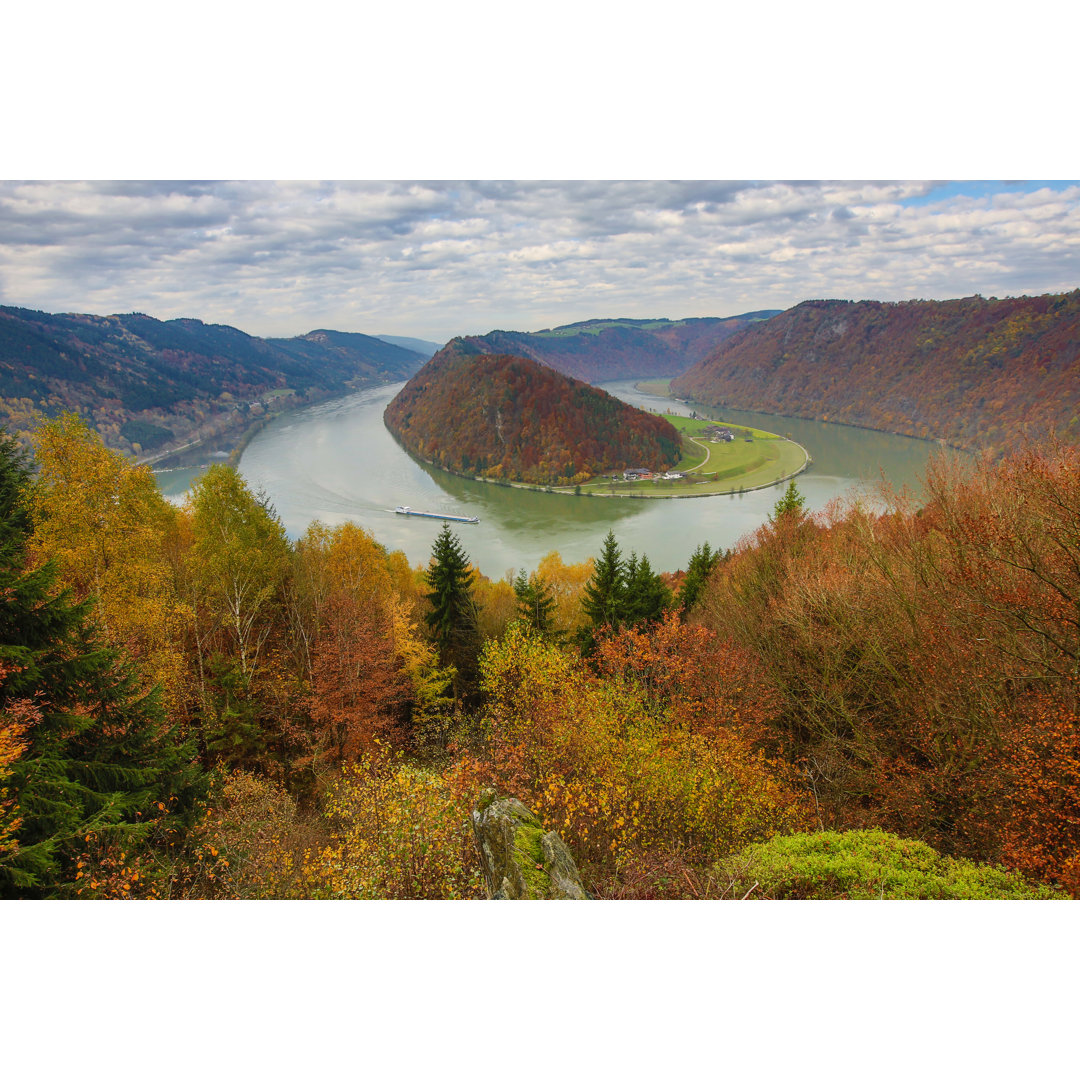 Schlögener Schlinge Donau - No Frame Kunstdrucke auf Leinwand