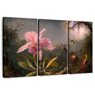 Orchidée Harnek Cattleya et 3 colibris